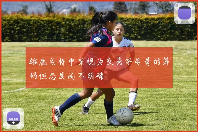 雄鹿或将申京视为交易字母哥的筹码但态度尚不明确
