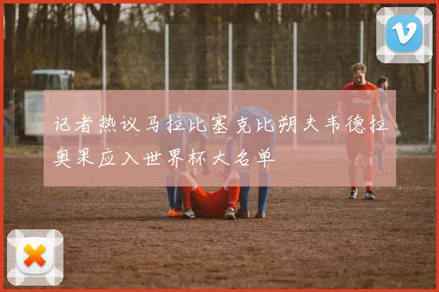 记者热议马拉比塞克比朔夫韦德拉奥果应入世界杯大名单